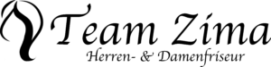 Logo Zima 2021